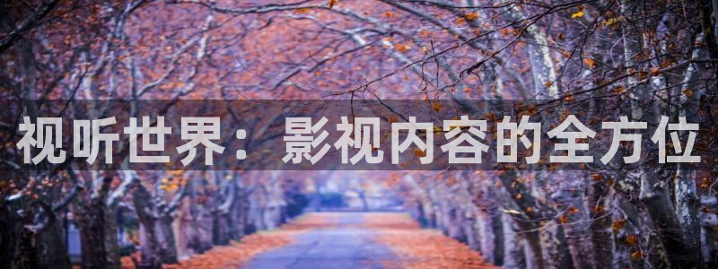 99视频在线网站