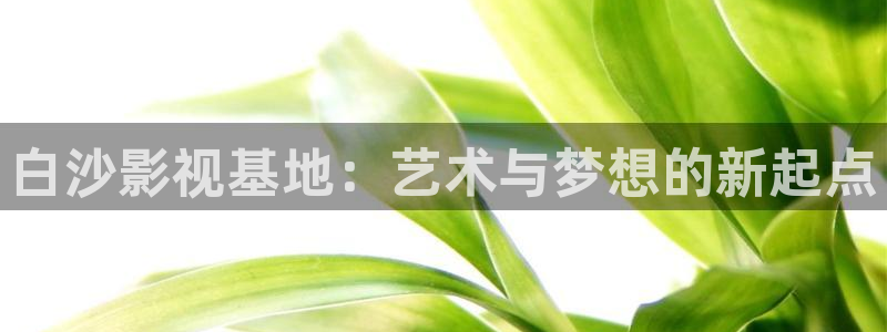 99视频在线观看视频在线：白沙影视基地：艺术与梦想的新起点