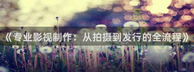 在线观看视频99视频：《专业影视制作：从拍摄到发行的全流程》