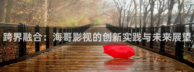 99视频在线观看精品：跨界融合：海哥影视的创新实践与未来展望
