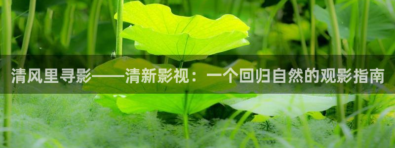 99视频这里只要精品：清风里寻影——清新影视：一个回归自然的观影指南