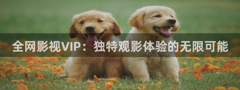 99视频网站在线：全网影视VIP：独特观影体验的无限可能
