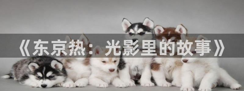 久久视频久久视频99视频