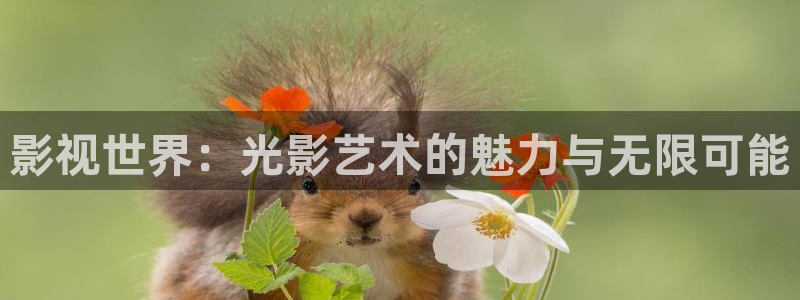 99视频精品全部免费16