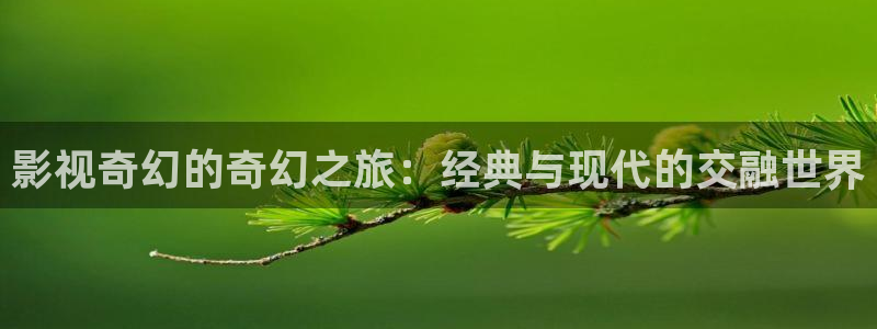 99视频在线视频首页
