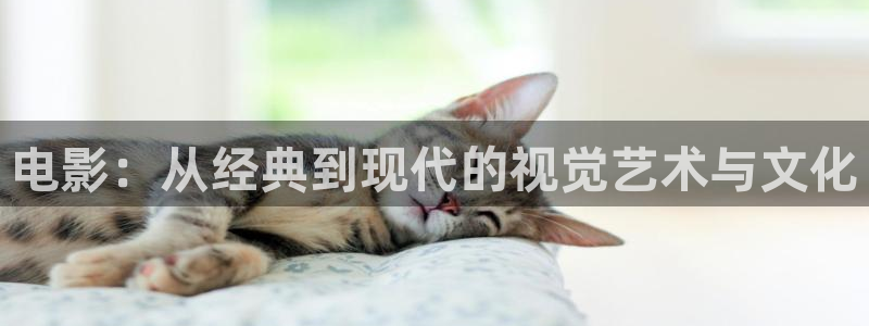 99视频免费网站