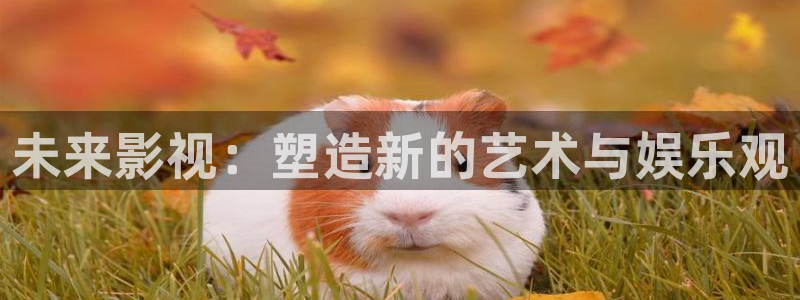 99视频30e精品视频