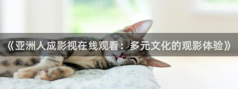 99视频 精品