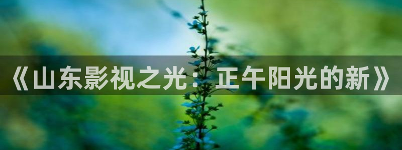 99视频在线观看免费专区观看